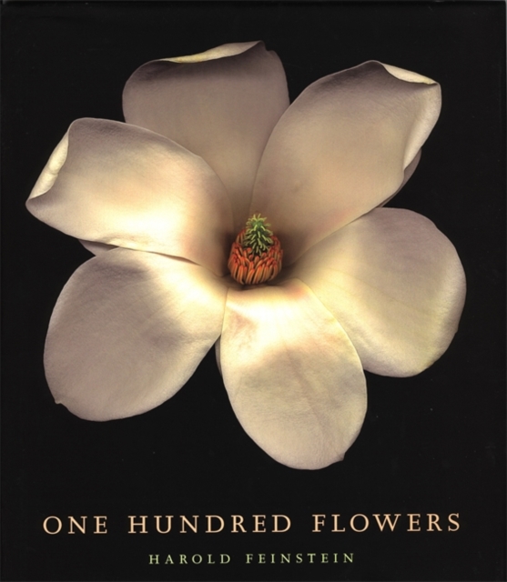 One Hundred Flowers, Hardback Book