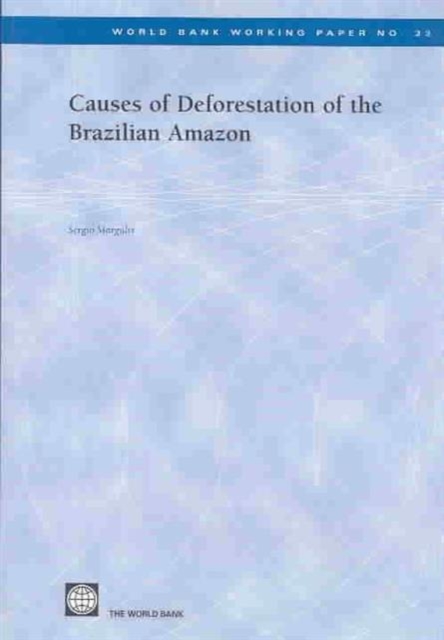 Causes of Deforestation of the Brazilian Amazon, Paperback / softback Book
