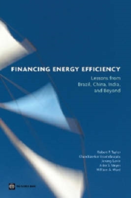 Financing Energy Efficiency : Lessons from Brazil, China, India, and Beyond, Paperback / softback Book