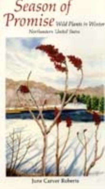Season of Promise : Wild Plants In Winter, Northeastern United States, Hardback Book