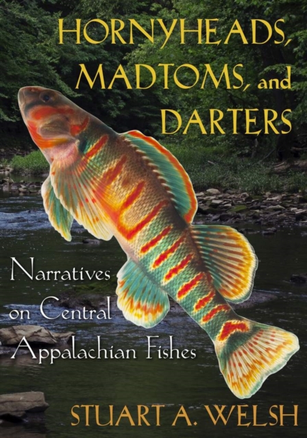 Hornyheads, Madtoms, and Darters : Narratives on Central Appalachian Fishes, Paperback / softback Book