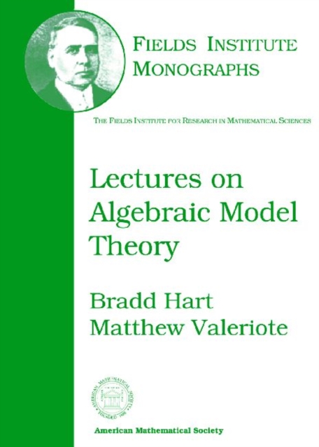 Lectures on Algebraic Model Theory, Hardback Book
