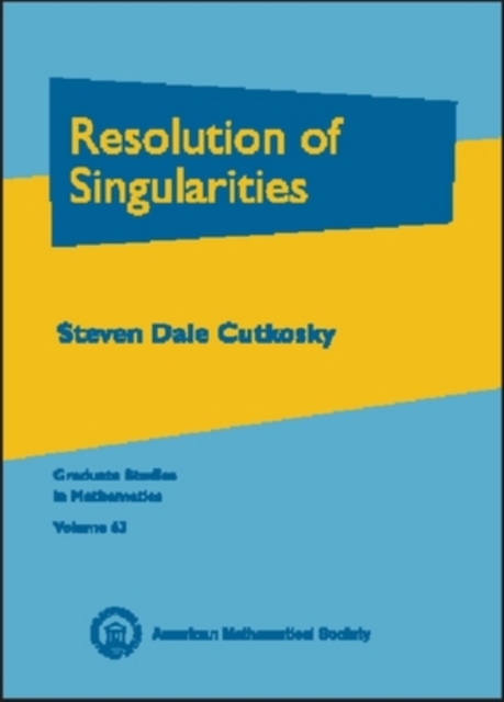 Resolution of Singularities, Hardback Book