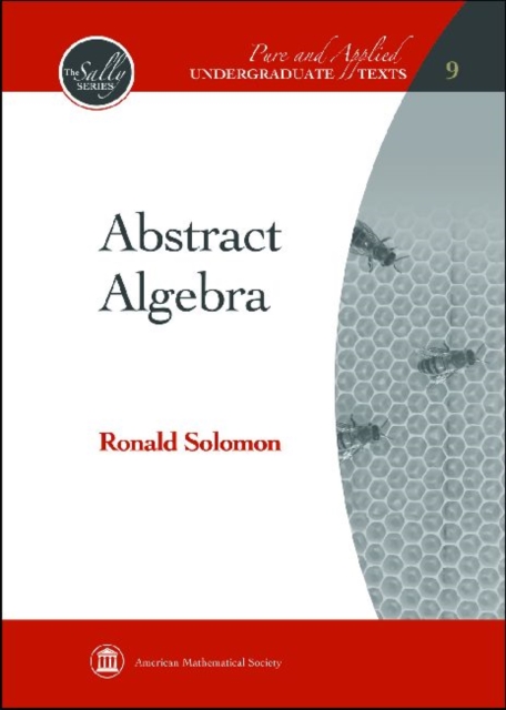 Abstract Algebra, Hardback Book