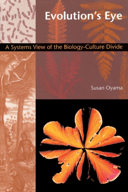 Evolution's Eye : A Systems View of the Biology-Culture Divide, Paperback / softback Book