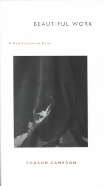 Beautiful Work : A Meditation on Pain, Hardback Book