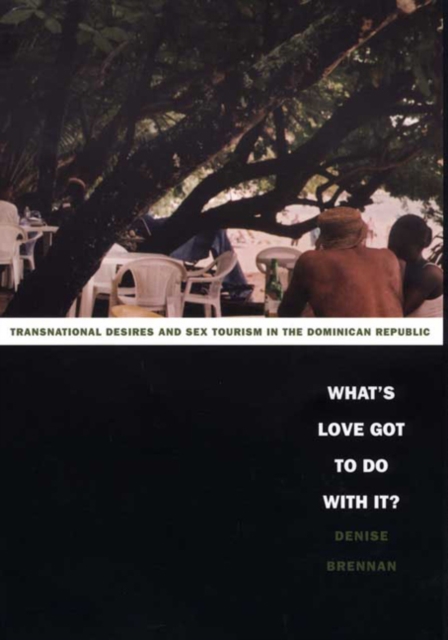 What's Love Got to Do with It? : Transnational Desires and Sex Tourism in the Dominican Republic, Paperback / softback Book