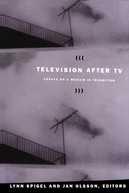 Television after TV : Essays on a Medium in Transition, Paperback / softback Book