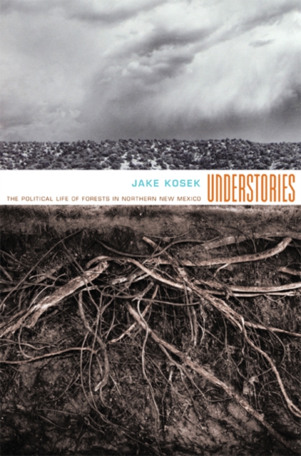 Understories : The Political Life of Forests in Northern New Mexico, Hardback Book