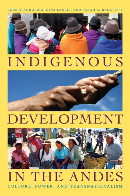 Indigenous Development in the Andes : Culture, Power, and Transnationalism, Paperback / softback Book