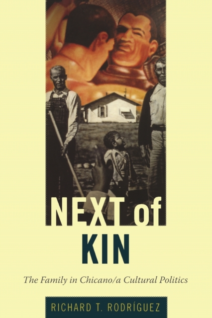 Next of Kin : The Family in Chicano/a Cultural Politics, Paperback / softback Book