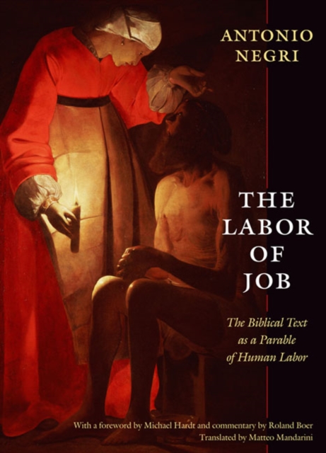The Labor of Job : The Biblical Text as a Parable of Human Labor, Hardback Book