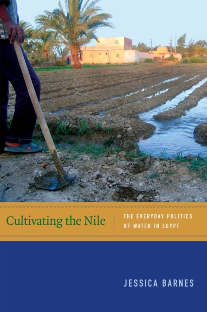 Cultivating the Nile : The Everyday Politics of Water in Egypt, Hardback Book