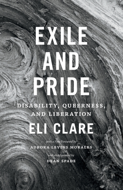 Exile and Pride : Disability, Queerness, and Liberation, Paperback / softback Book