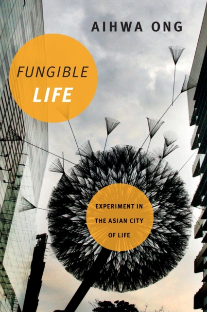 Fungible Life : Experiment in the Asian City of Life, Paperback / softback Book