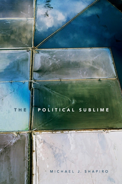 The Political Sublime, Paperback / softback Book