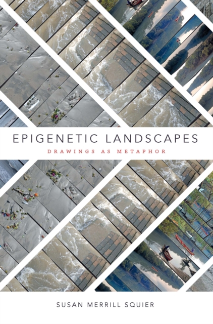 Epigenetic Landscapes : Drawings as Metaphor, PDF eBook