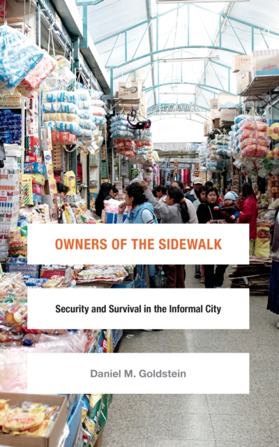 Owners of the Sidewalk : Security and Survival in the Informal City, PDF eBook