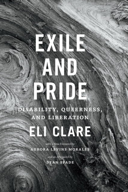 Exile and Pride : Disability, Queerness, and Liberation, PDF eBook