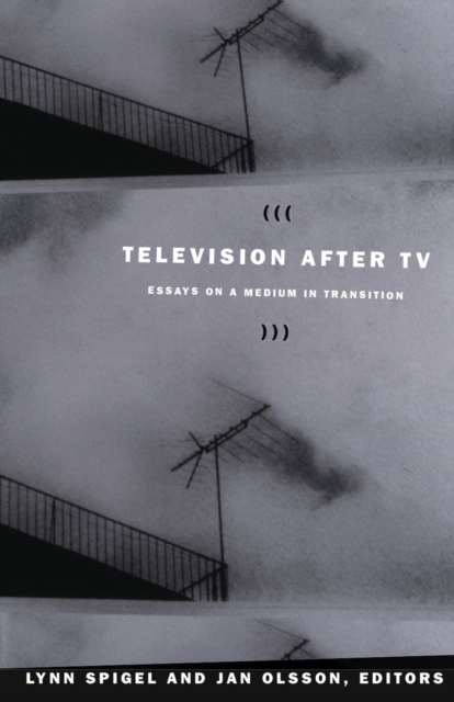Television after TV : Essays on a Medium in Transition, PDF eBook