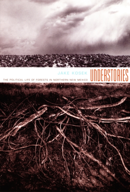 Understories : The Political Life of Forests in Northern New Mexico, PDF eBook