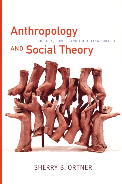 Anthropology and Social Theory : Culture, Power, and the Acting Subject, PDF eBook