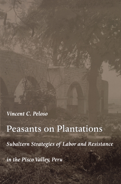 Peasants on Plantations : Subaltern Strategies of Labor and Resistance in the Pisco Valley, Peru, PDF eBook