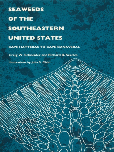 Seaweeds of the Southeastern United States : Cape Hatteras to Cape Canaveral, PDF eBook