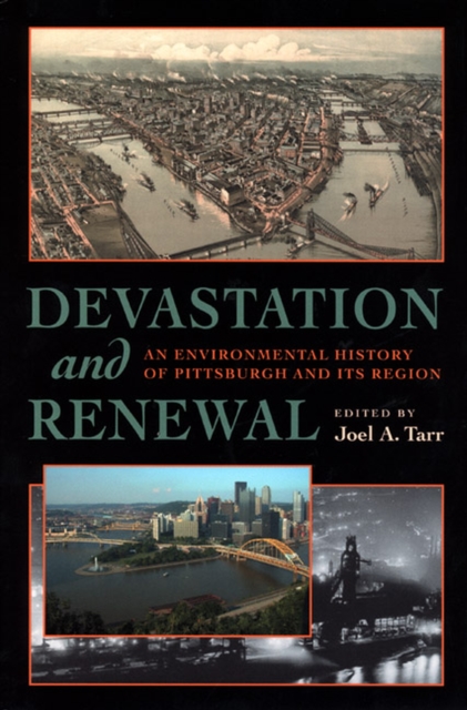 Devastation and Renewal : An Environmental History of Pittsburgh and Its Region, Paperback / softback Book