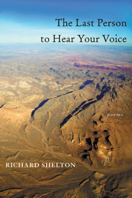 Last Person to Hear Your Voice, The, Paperback / softback Book