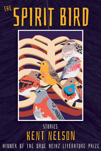 The Spirit Bird : Stories, Paperback / softback Book