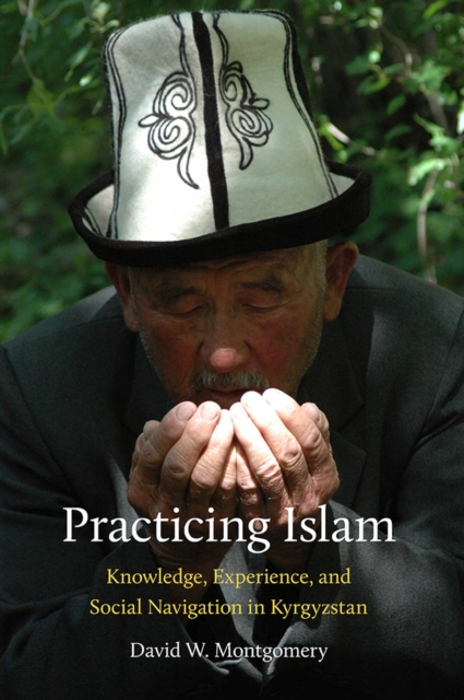Practicing Islam : Knowledge, Experience, and Social Navigation in Kyrgyzstan, Paperback / softback Book