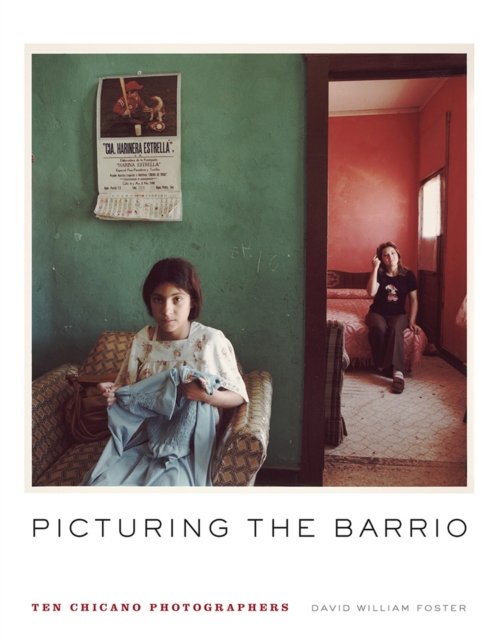 Picturing the Barrio : Ten Chicano Photographers, Paperback / softback Book