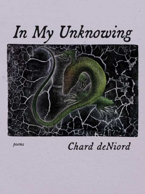In My Unknowing : Poems, Paperback / softback Book