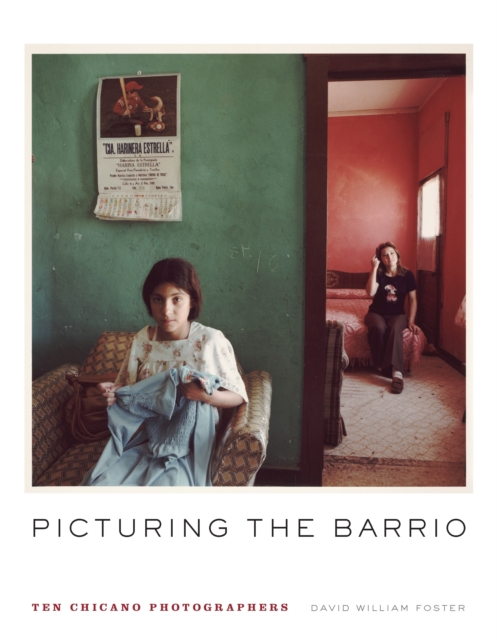 Picturing the Barrio : Ten Chicano Photographers, EPUB eBook