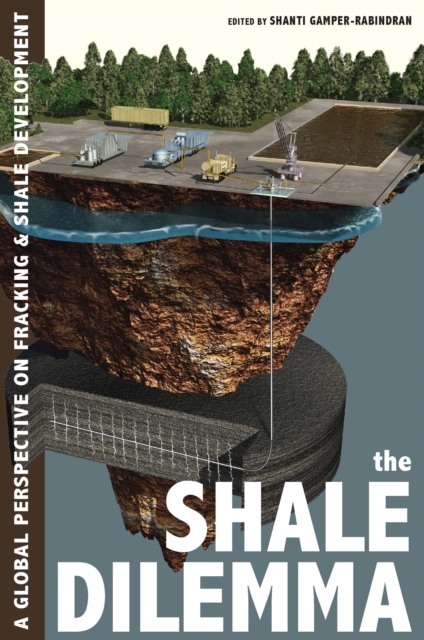 The Shale Dilemma : A Global Perspective on Fracking and Shale Development, EPUB eBook