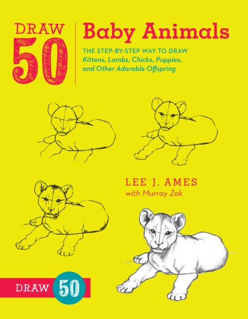Draw 50 Baby Animals, Paperback / softback Book