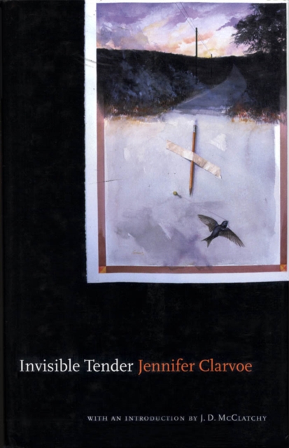 Invisible Tender, Hardback Book