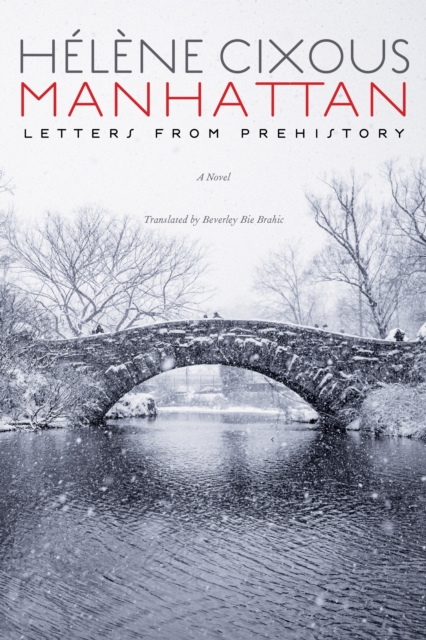 Manhattan : Letters from Prehistory, Hardback Book