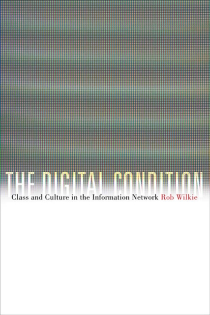 The Digital Condition : Class and Culture in the Information Network, Paperback / softback Book
