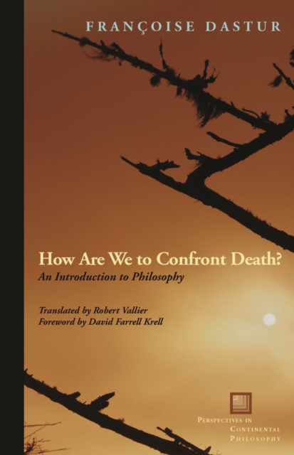How are We to Confront Death? : An Introduction to Philosophy, Hardback Book