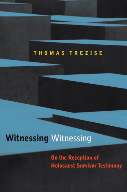 Witnessing Witnessing : On the Reception of Holocaust Survivor Testimony, PDF eBook