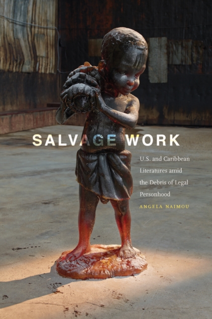 Salvage Work : U.S. and Caribbean Literatures amid the Debris of Legal Personhood, PDF eBook