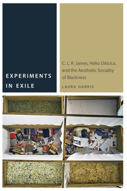 Experiments in Exile : C. L. R. James, Helio Oiticica, and the Aesthetic Sociality of Blackness, Paperback / softback Book