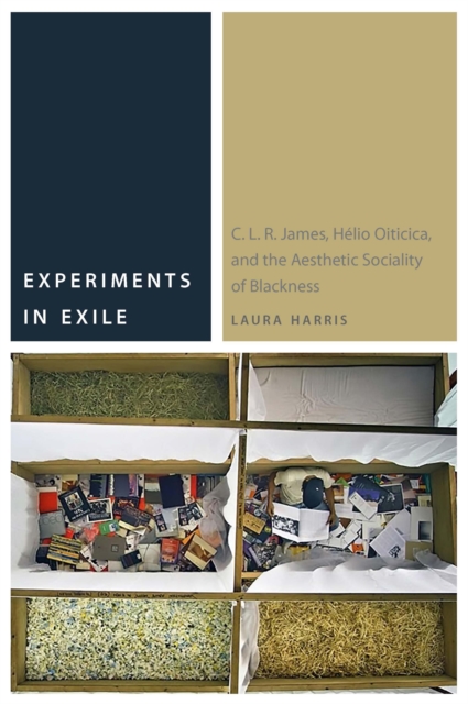 Experiments in Exile : C. L. R. James, Helio Oiticica, and the Aesthetic Sociality of Blackness, EPUB eBook