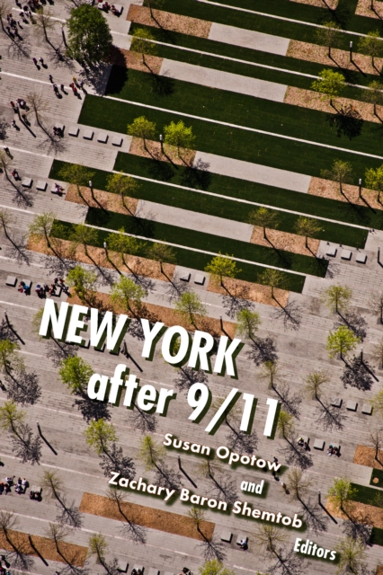 New York After 9/11, Hardback Book