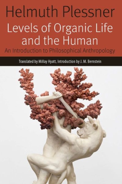 Levels of Organic Life and the Human : An Introduction to Philosophical Anthropology, Hardback Book