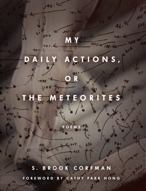 My Daily Actions, or The Meteorites, Paperback / softback Book