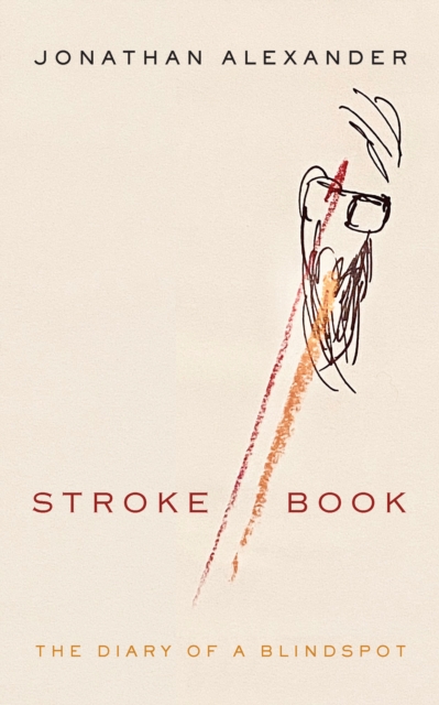 Stroke Book : The Diary of a Blindspot, Hardback Book
