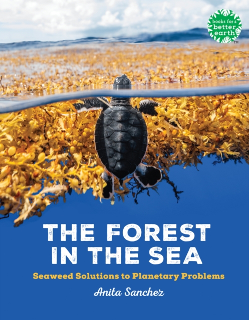 The Forest in the Sea : Seaweed Solutions to Planetary Problems, Hardback Book